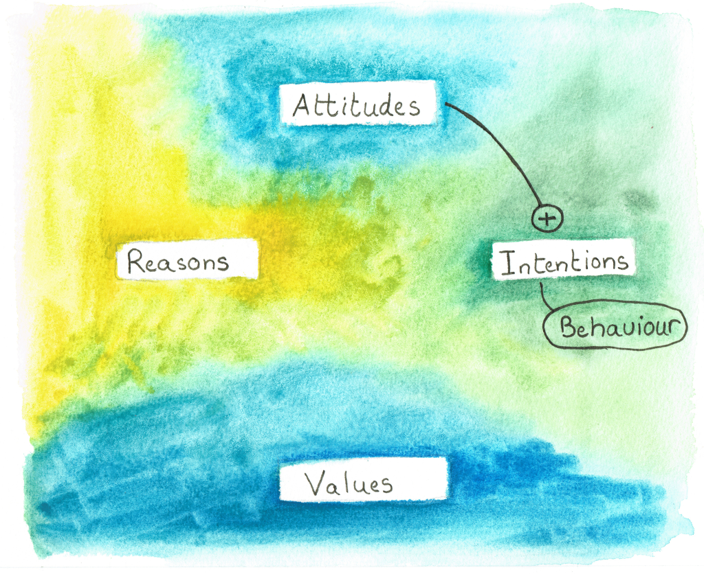 Several studies have demonstrated a correlation between positive attitudes and the chances of engaging in sustainable behavior