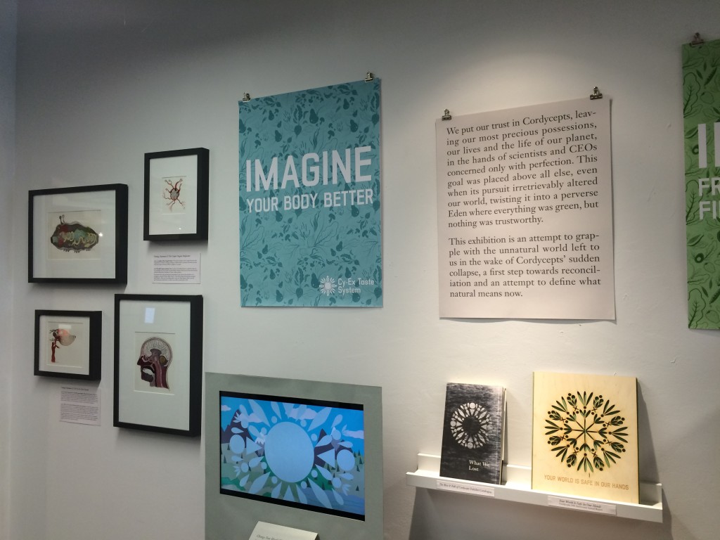 The Rise and Fall of Cordycepts