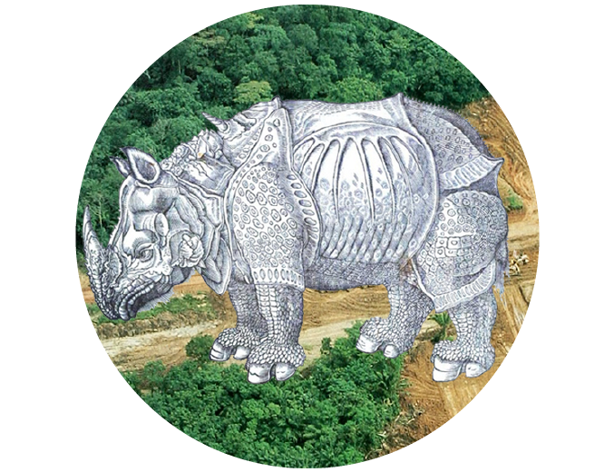 To save a rhinoceros...